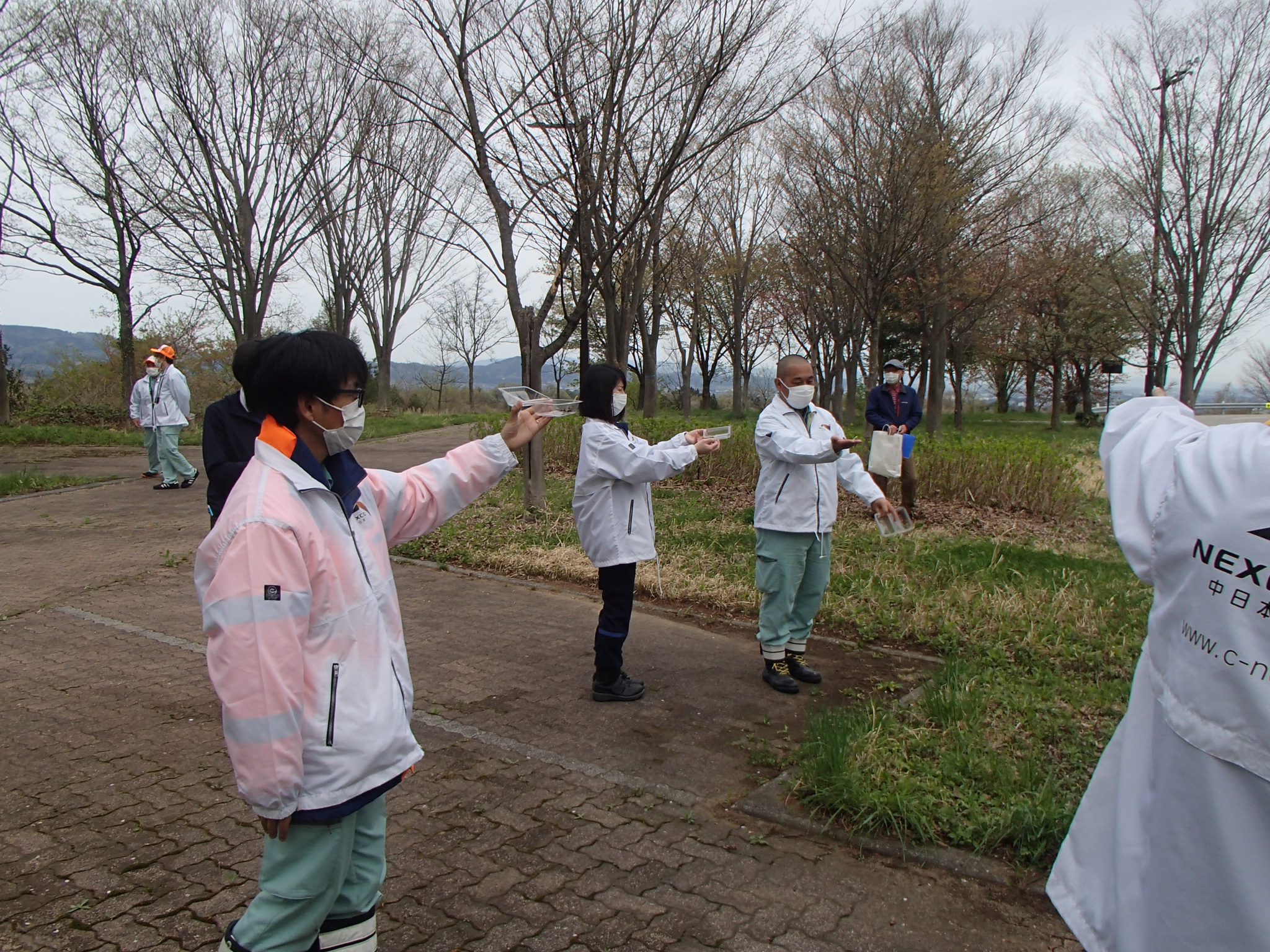 Improvement of the habitat for the Japanese Luehdorfia, 